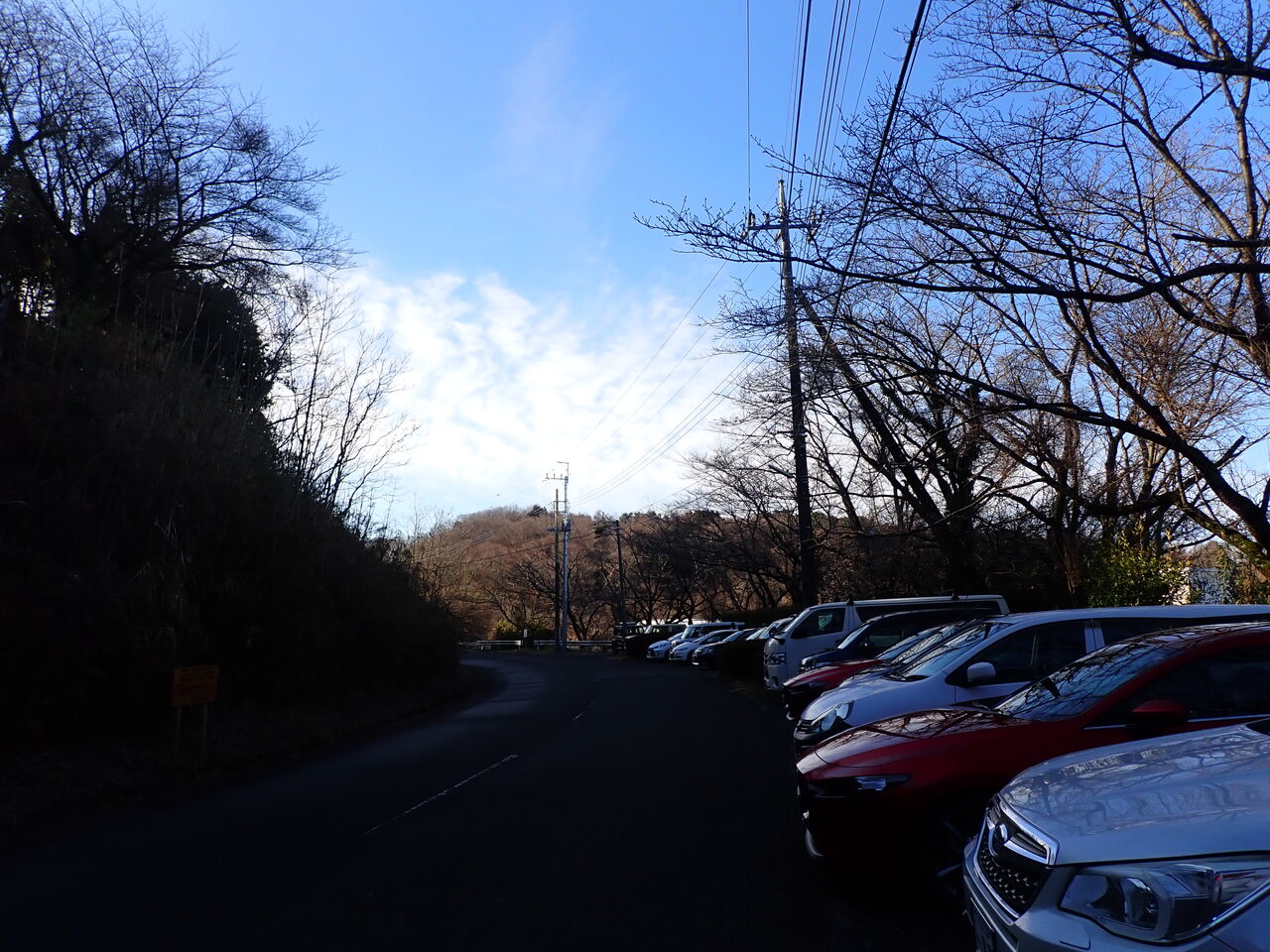薬王院 ルート 登山 者 駐 車場
