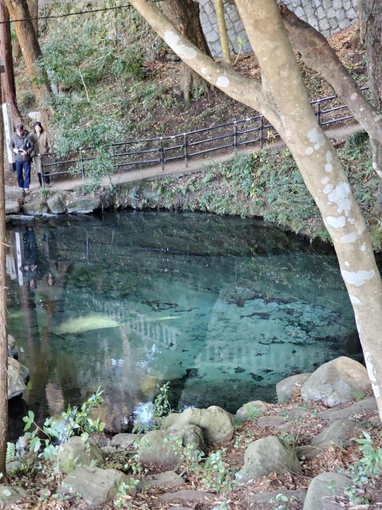 2024最強開運神社「泉神社」 : ぷち登山 2024最強開運神社「泉神社」 : ぷち登山