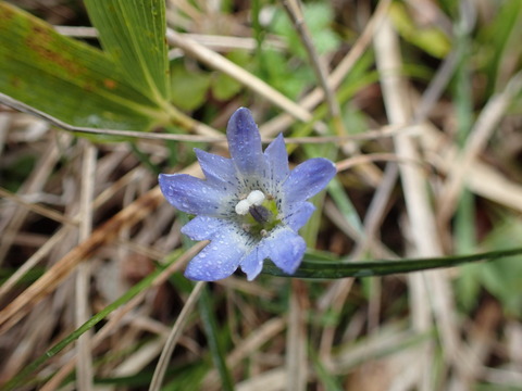 P6090123