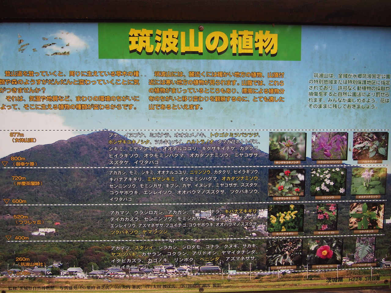 筑波山 表登山道その1 ぷち登山 筑波山 表登山道その1 ぷち登山
