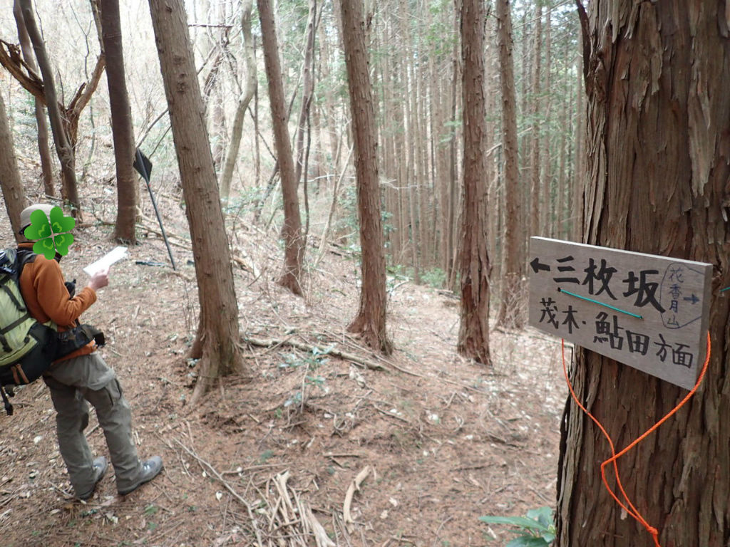 花香月山~鶏足山、春を探して縦走(^^) : ぷち登山 花香月山~鶏足山、春を探して縦走(^^) : ぷち登山