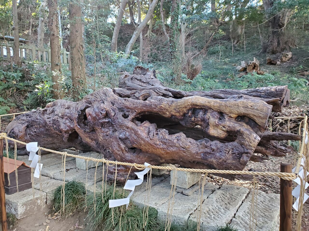 2024最強開運神社「泉神社」 : ぷち登山 2024最強開運神社「泉神社」 : ぷち登山