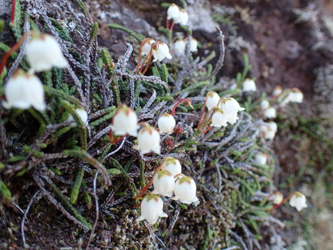 P7070301