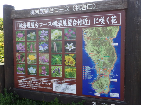 P7080756
