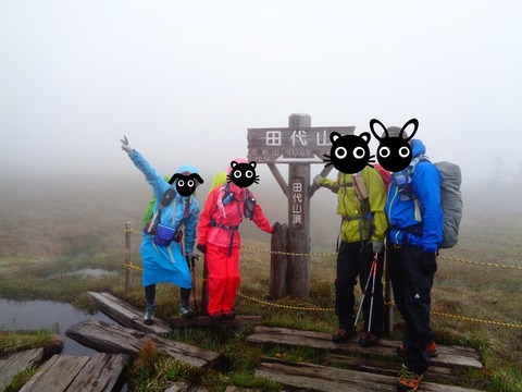 line_71046523041438-1