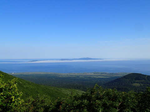 P7070125