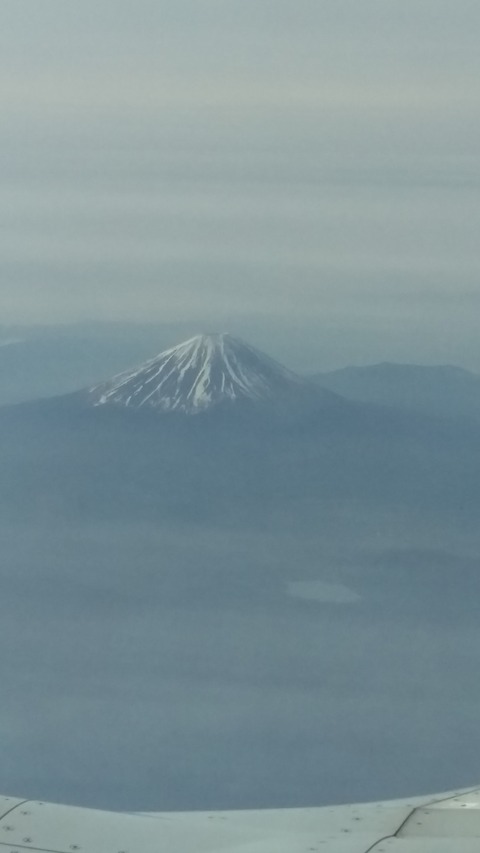 IMAG1309
