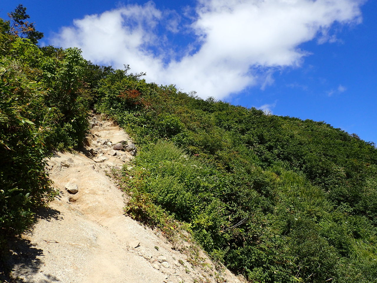 大朝日岳 絶景の稜線歩き 古寺鉱泉ピストン ぷち登山
