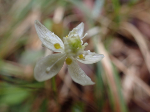 P6010027