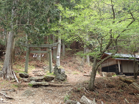 P5060059