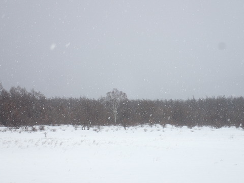 P2230131