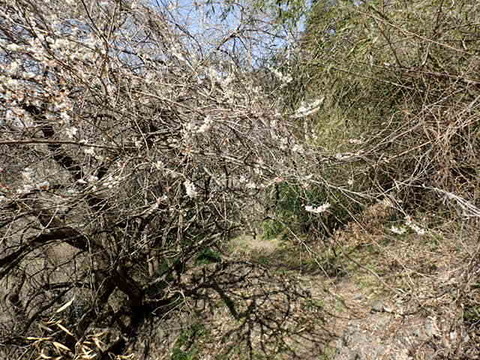P3250124