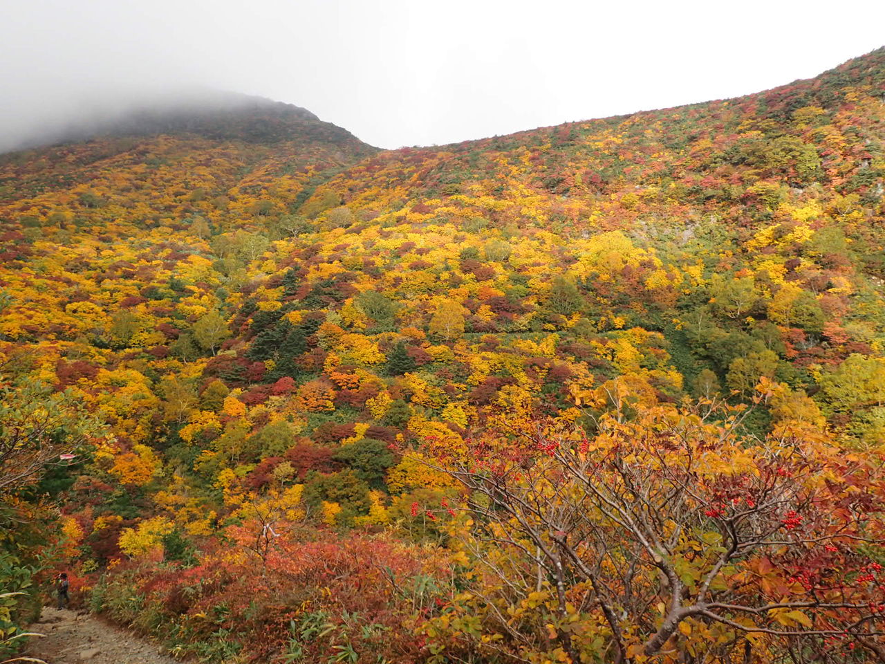 紅葉真っ盛り の安達太良山から箕輪山その１ ぷち登山