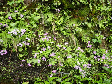 P6160054
