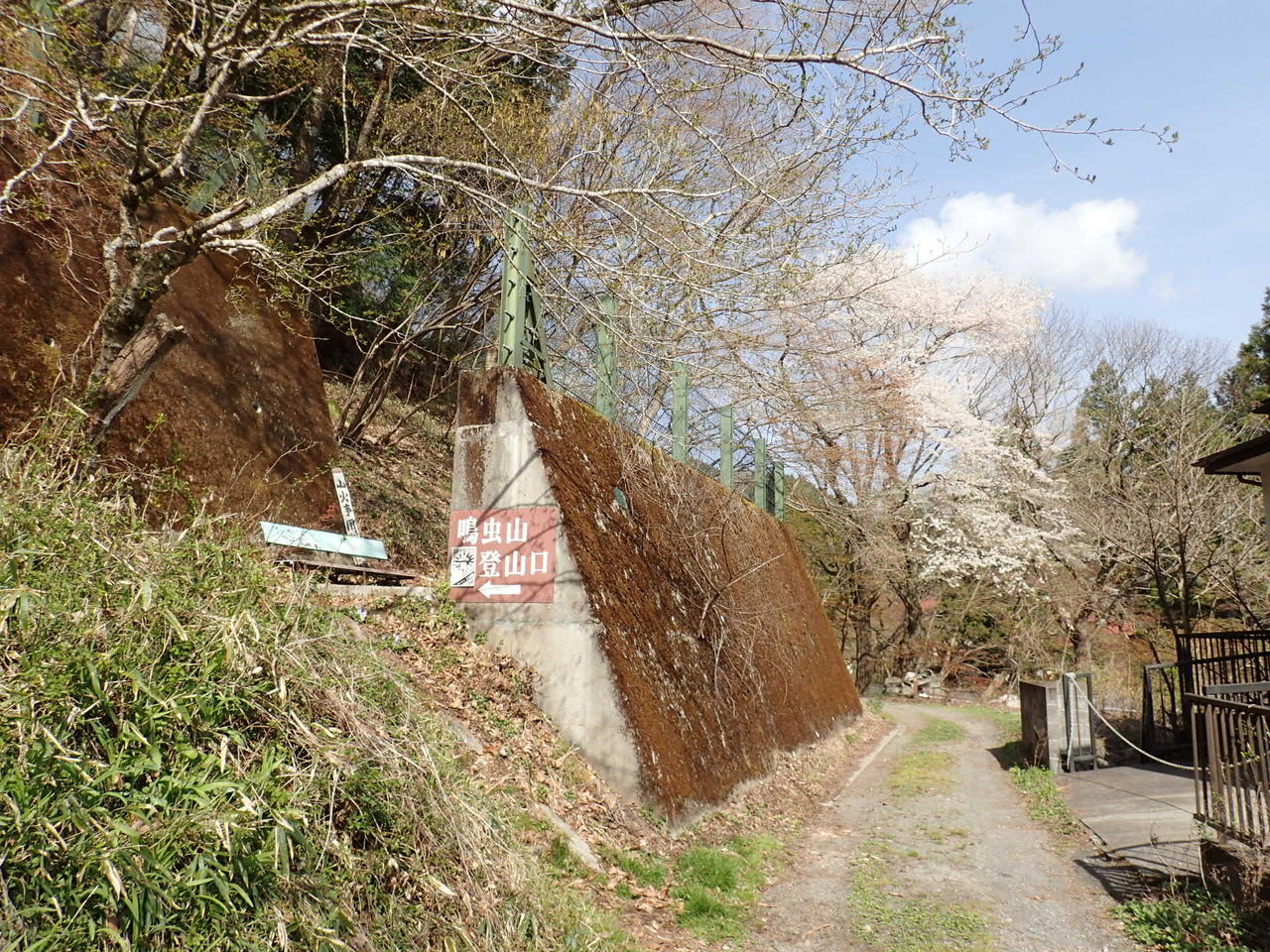 アカヤシオ咲き乱れる鳴虫山 ぷち登山