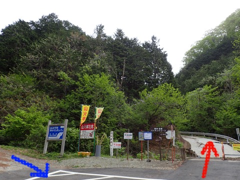 P5060002-1