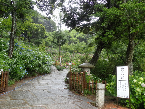 P6150006