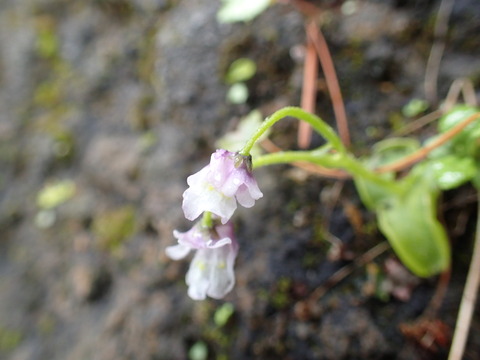 P6160142