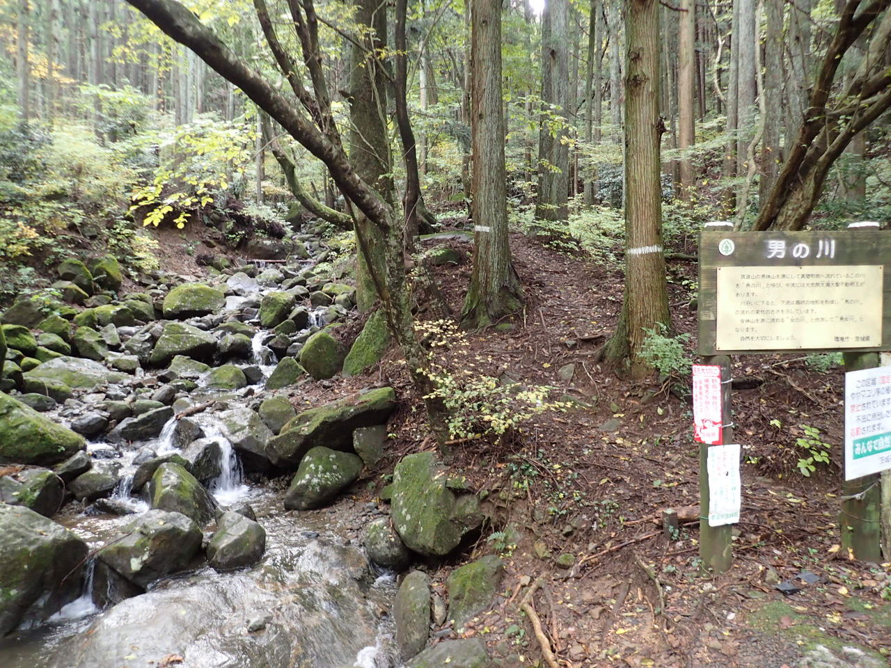 筑波山を静かな裏登山道から登る ぷち登山