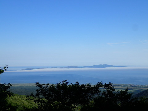 P7070119