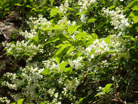 P5060139