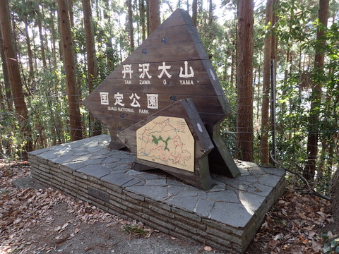 P1130113