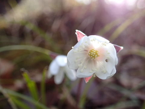 P3250119