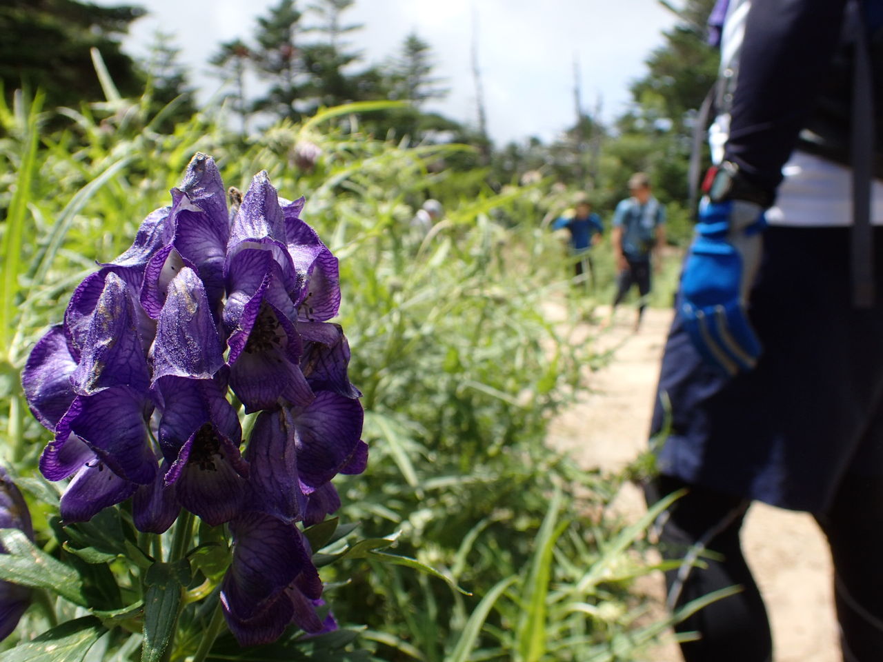 天狗に逢いに天狗岳 天狗の奥庭 ぷち登山