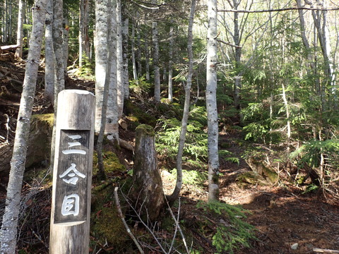 P6010032