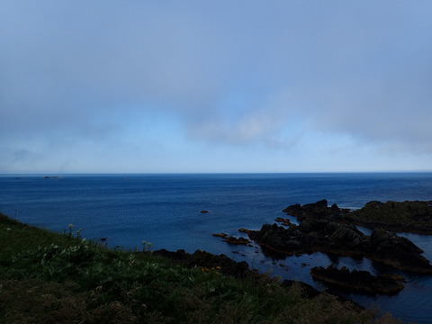 P7090911