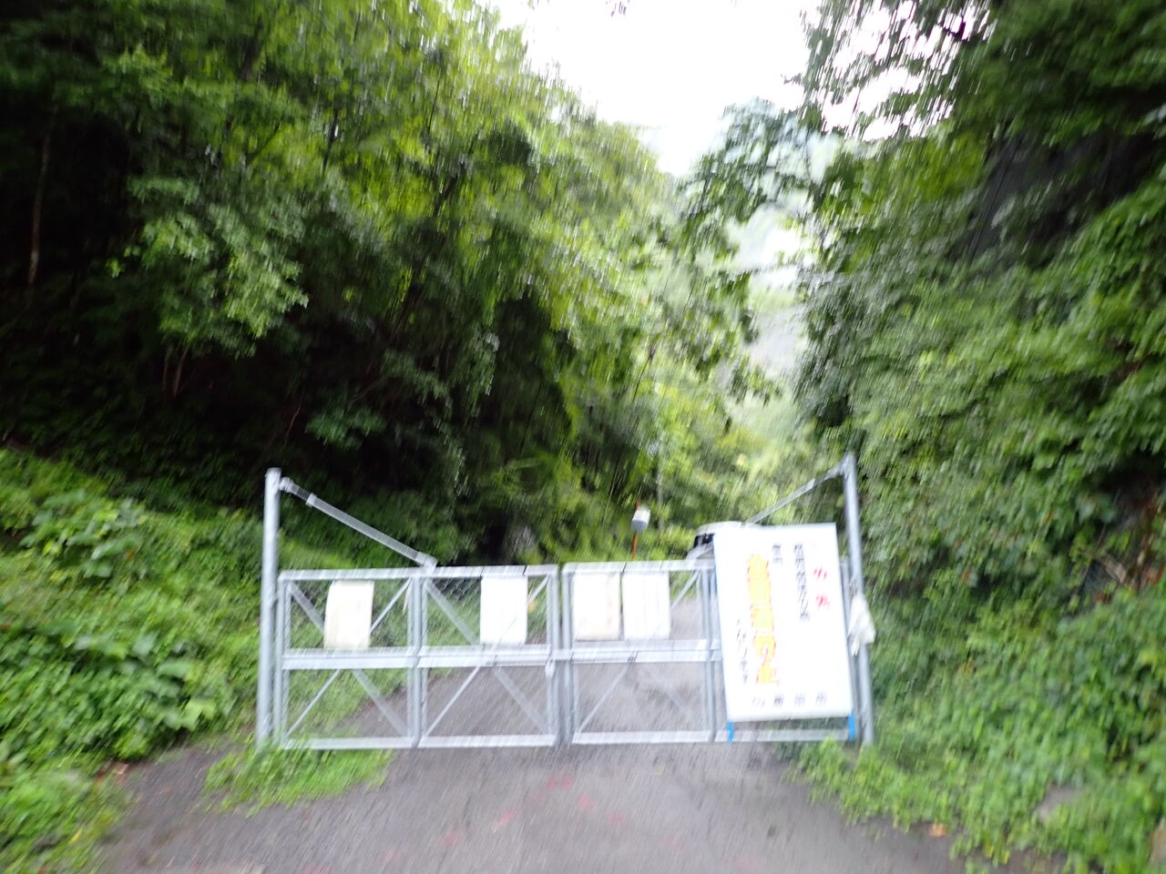 光岳 地獄から天国へ ぷち登山 光岳 地獄から天国へ ぷち登山