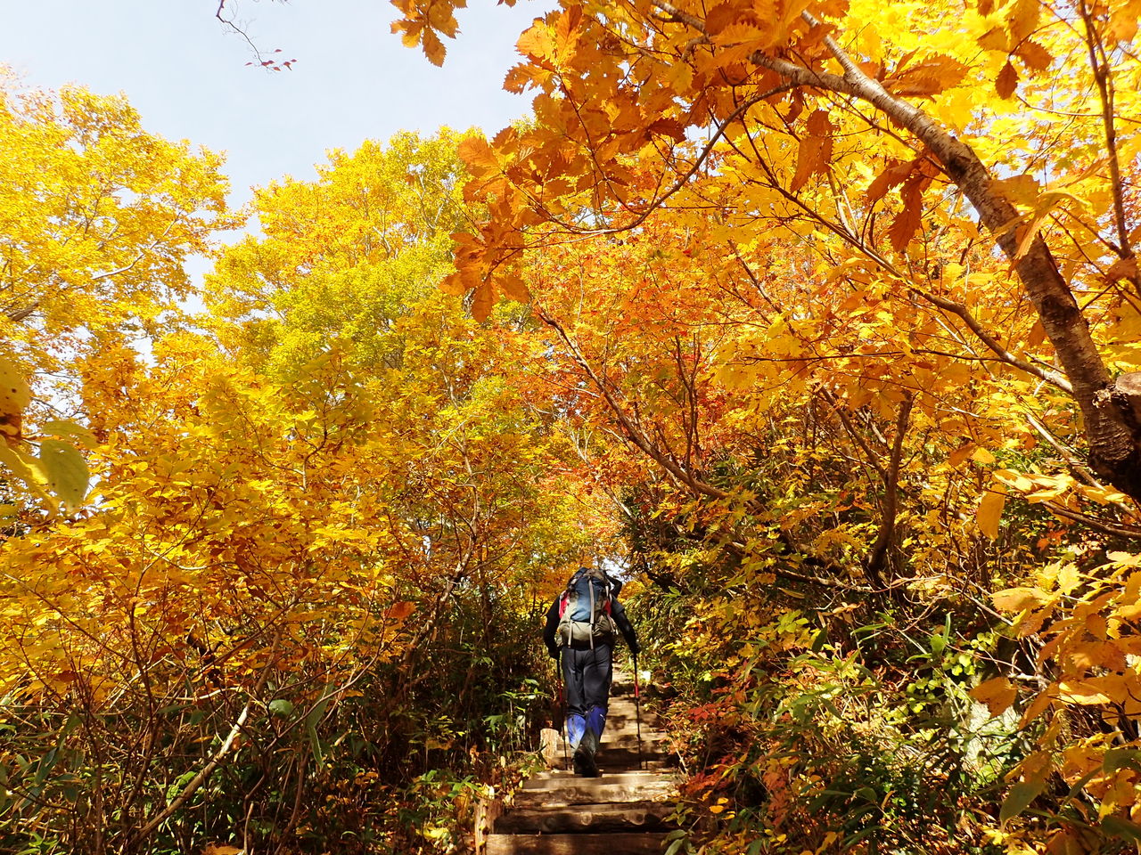 時期別 紅葉の山を紹介 紅葉の山に行こうーーー ぷち登山