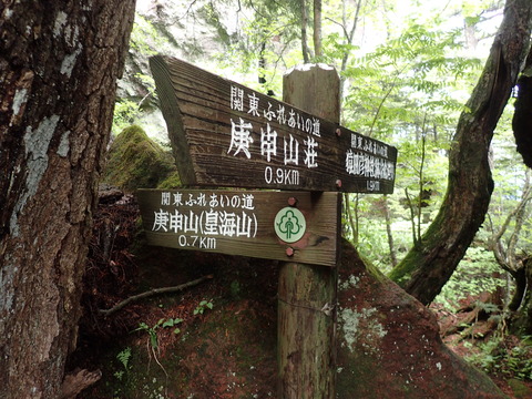 P6160205