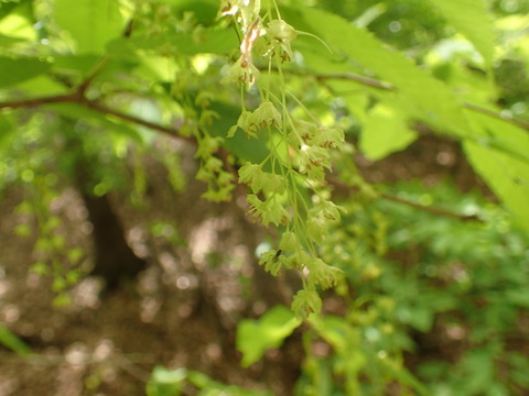 P5060172