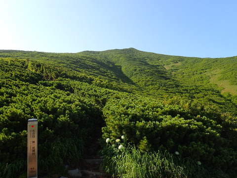 P7070138