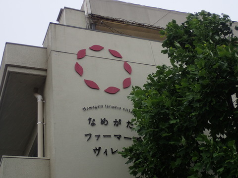 P6150102