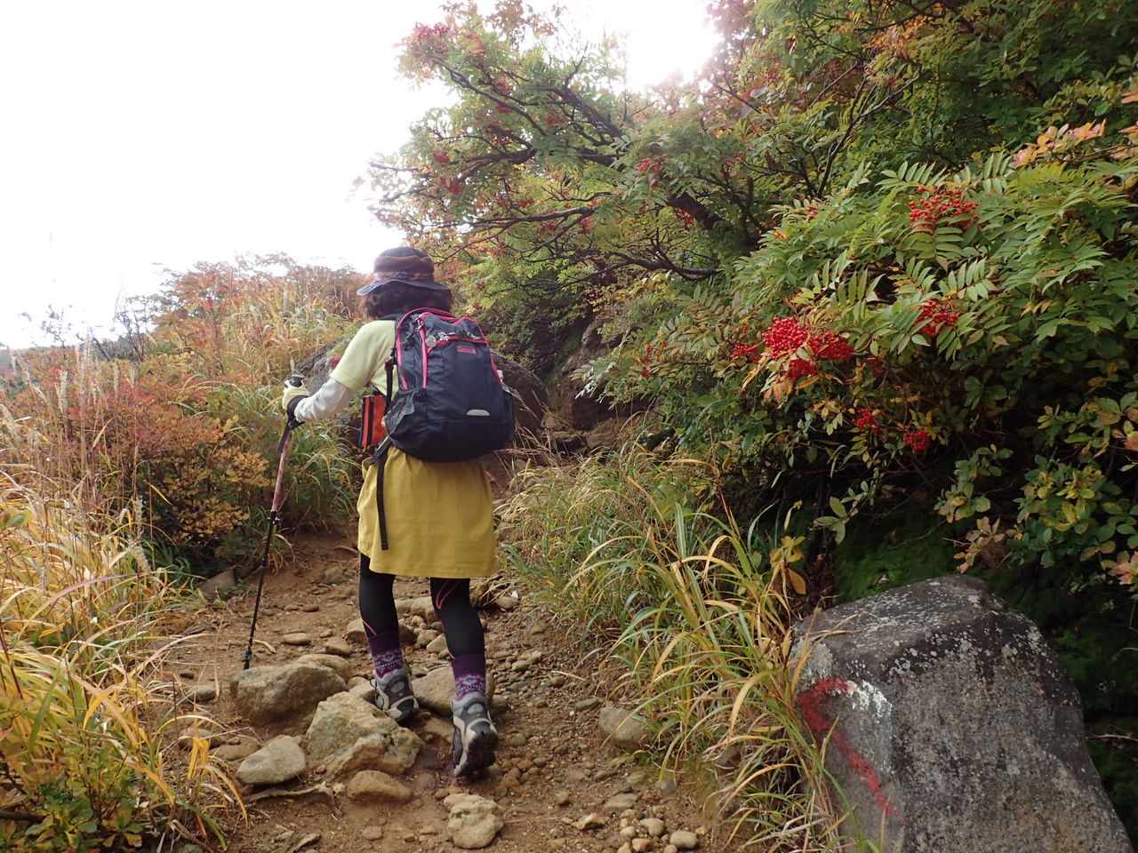 紅葉真っ盛り の安達太良山から箕輪山その１ ぷち登山