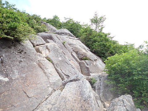 P7100016
