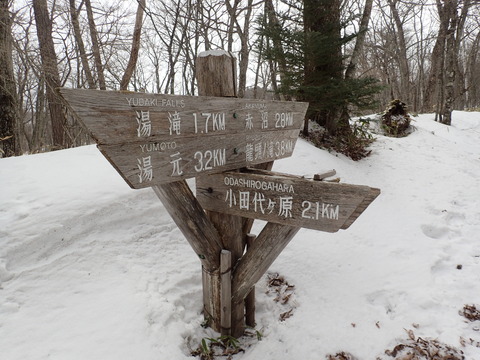 P2230132