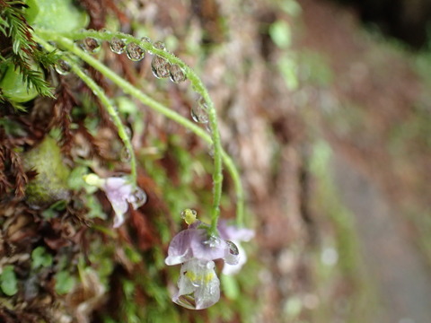 P6160162