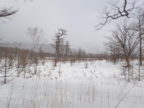P2230110