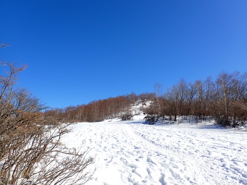 P1090086