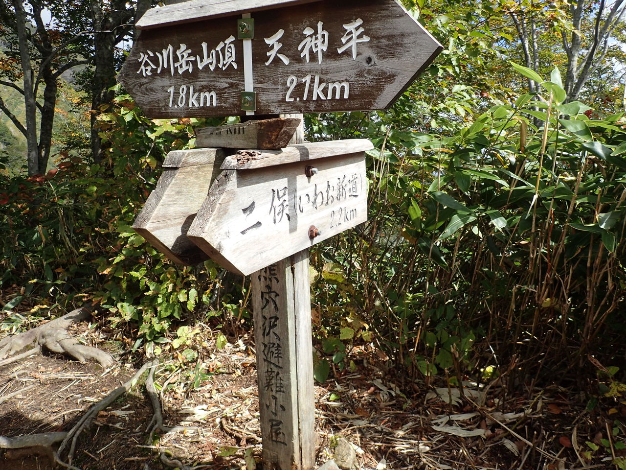 谷川岳 なんじゃこれは の大渋滞 ぷち登山 谷川岳 なんじゃこれは の大渋滞 ぷち登山