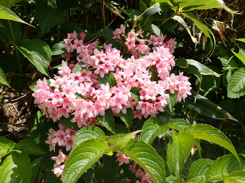 P7100095
