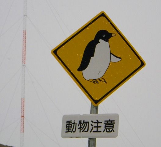 南極の道 極道13 炎と酒の夢日記