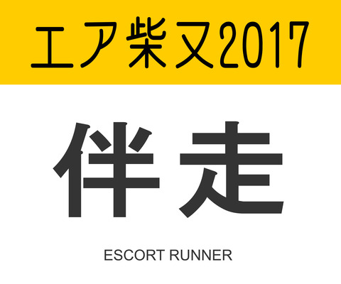 airshibamata2017_伴走