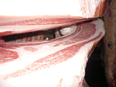 ̾���ޡ�5477��(ͭ)��ƣ�Ҿ쭢