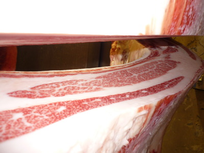 ��ͥ����066ݯ�浮�