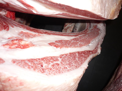 Í¥½¨¾Þ£³ÀÊ¡¡093ĹÅ羡ÃË¢