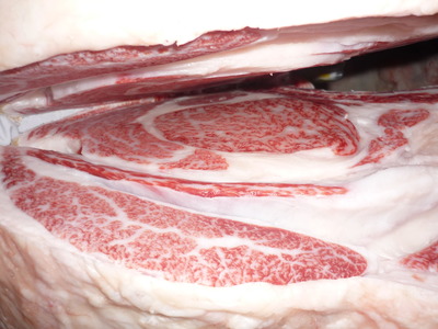 101 ͥ�ɾޡ�����ˮ�˭�